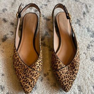 Size 8.5 M - Caslon “Lexie” calf hair leopard print flats